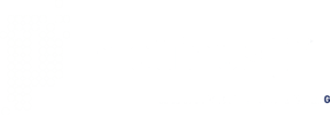 logo_protinus